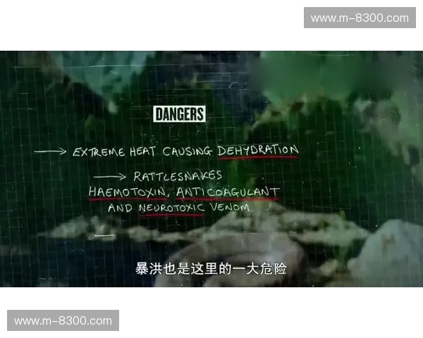 数据越野跑：在信息荒野中奔跑，发现数据新价值